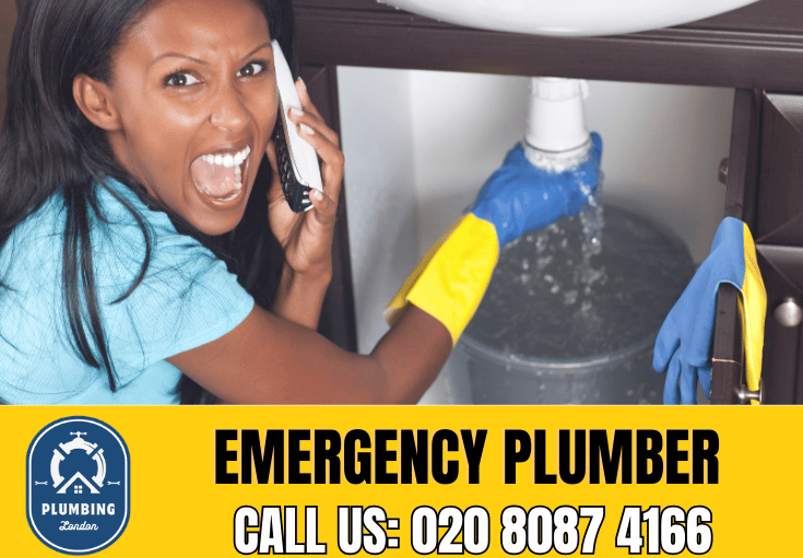 emergency plumber Purley